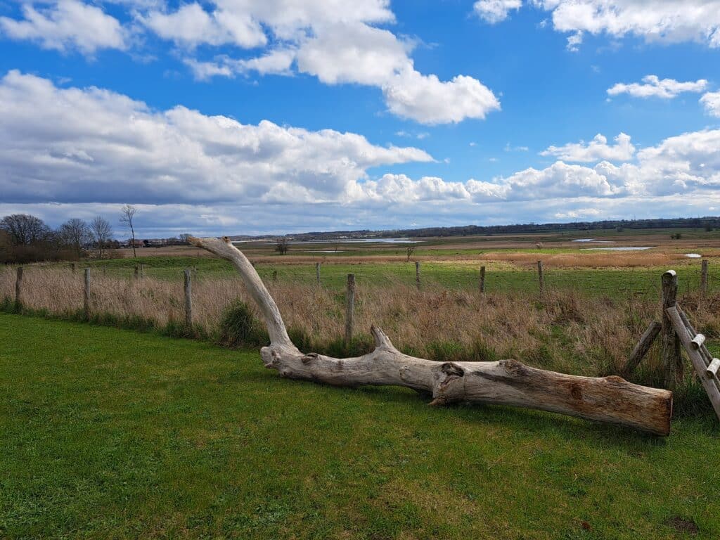 Ein großer umgestürzter Baumstamm liegt auf grünem Gras in der Nähe eines Drahtzauns, mit weiten, offenen Feldern und einem teilweise bewölkten blauen Himmel im Hintergrund, der malerische Referenzen für die Naturfotografie bietet.