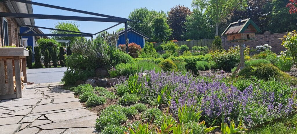 Ein sonniger Garten mit leuchtend grünen Sträuchern, lilafarbenen Blumen, einem Steinweg, einem hölzernen Vogelhaus und einem blauen Gartenhaus im Hintergrund bietet die perfekten Inspirationsquellen, umgeben von üppigen Bäumen und einem Holzzaun.
