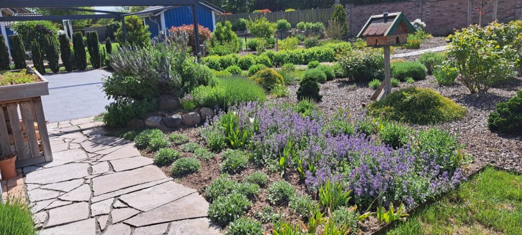 Sonniger Garten mit Steinwegen, einer Vielzahl von grünen Sträuchern und lila blühenden Pflanzen, einem hölzernen Vogelfutterhaus und einem Terrassenbereich mit Topfpflanzen. Ein blauer Schuppen und eine Ziegelmauer vervollständigen diesen Raum - perfekt für Referenzen in der Landschaftsgestaltung.