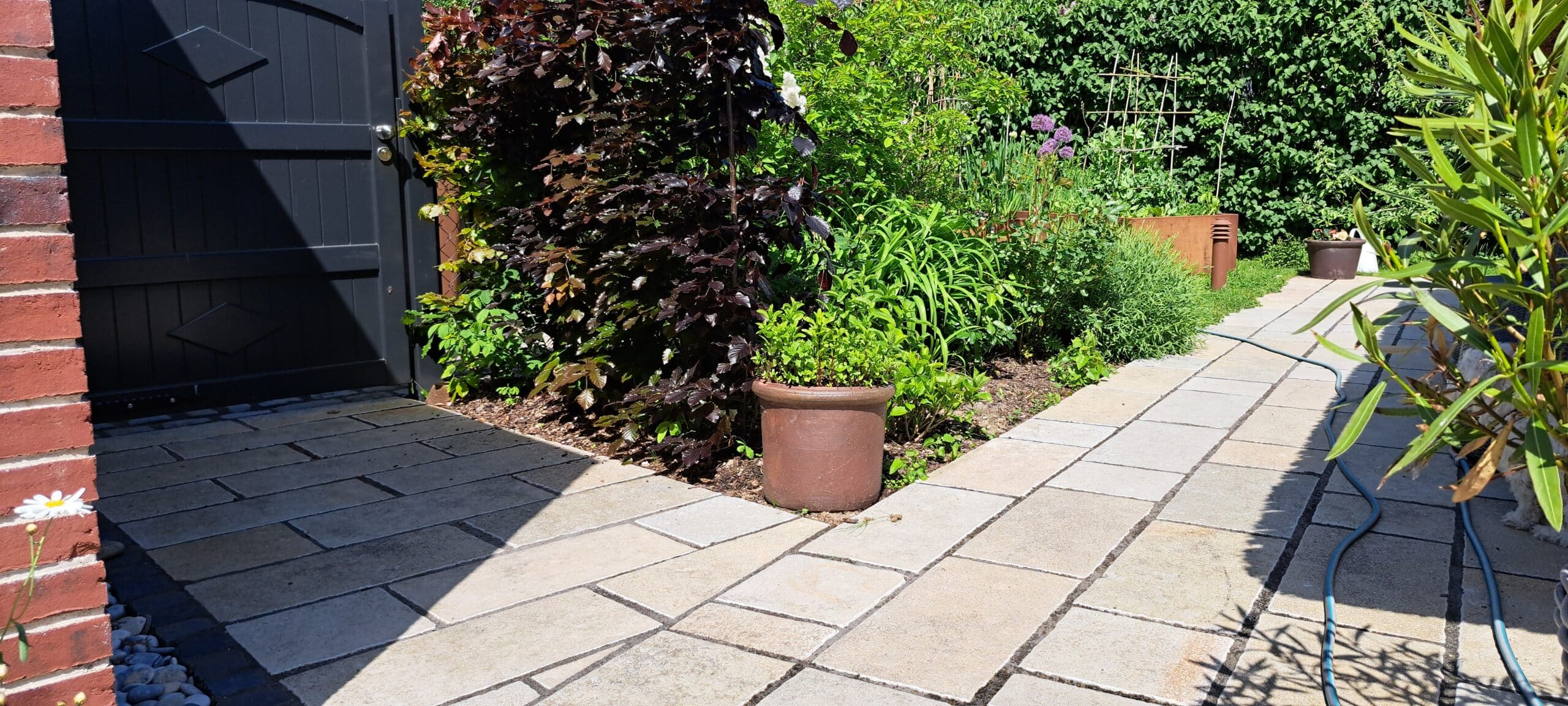 Ein sonnenbeschienener Gartenweg mit hellen Steinfliesen schlängelt sich an einer roten Backsteinmauer, einem schwarzen Tor, einer Topfpflanze und üppigem Grün vorbei - schöne Beispiele für eine zeitlose Gestaltung des Außenbereichs - und führt zu weiteren Grünflächen im Hintergrund.