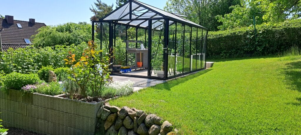 Ein gläsernes Gewächshaus mit schwarzem Rahmen steht in einem üppig grünen Garten, umgeben von grünen Pflanzen, Sträuchern und einem gepflegten Rasen unter einem klaren, sonnigen Himmel - ein beeindruckendes Beispiel unserer Referenzen. Eine niedrige Stein- und Blockmauer begrenzt den Pflanzbereich.