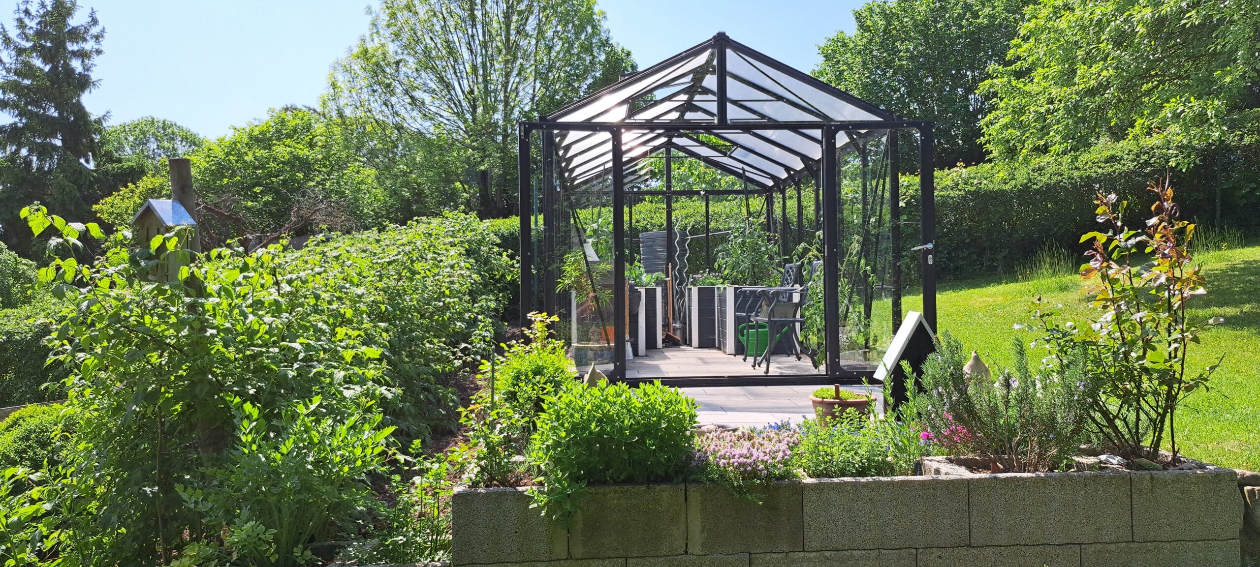 Ein gläsernes Gewächshaus mit schwarzem Rahmen steht in einem üppigen Garten, der an einem sonnigen Tag von grünen Pflanzen, Sträuchern und Bäumen umgeben ist. Im Inneren des Gewächshauses sind Gartengeräte und Töpfe zu sehen, die als inspirierende Referenzen für Gartenliebhaber dienen.