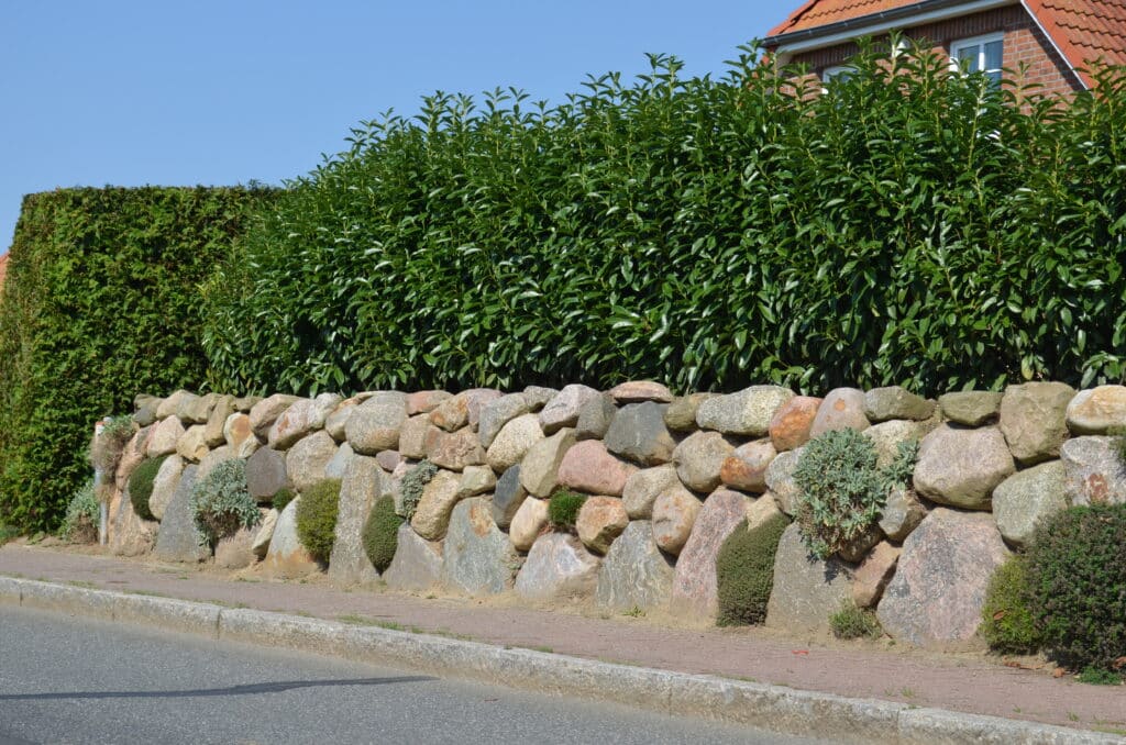 Eine Steinmauer aus großen, unregelmäßigen Felsen säumt eine Straße, hinter der ordentlich geschnittene grüne Sträucher wachsen - ein beeindruckendes Beispiel für Referenzen. Im Hintergrund ist ein Teil eines Backsteinhauses mit rotem Ziegeldach zu sehen, das unter einem klaren blauen Himmel steht.