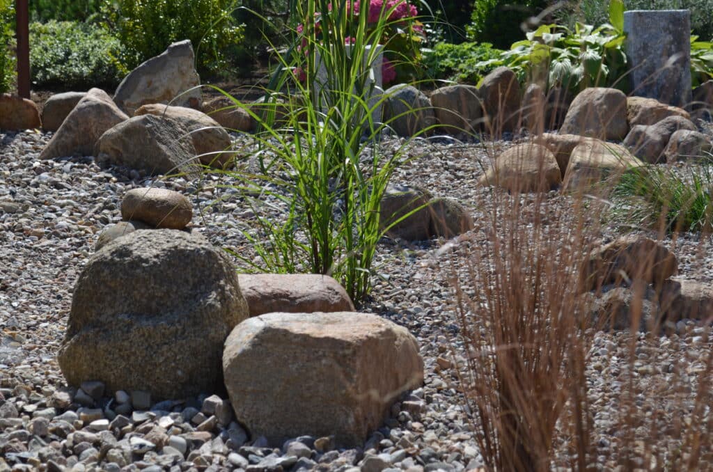 In einem Landschaftsgarten liegen Steine unterschiedlicher Größe auf einem Kiesbett. Zwischen den Steinen wachsen Ziergräser und Grünpflanzen, die eine friedliche Umgebung schaffen, die von modernen Referenzen in der Gartengestaltung inspiriert ist.