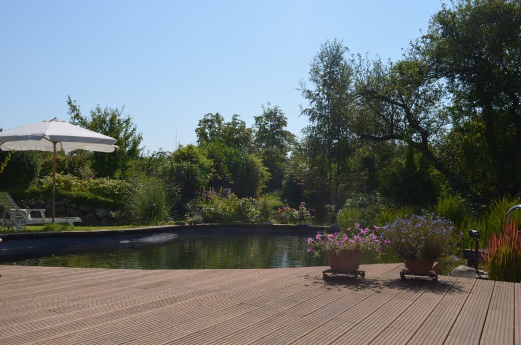 Eine sonnige Gartenszene mit einem natürlichen Teich, einem Holzdeck, zwei blühenden Topfpflanzen, einem weißen Sonnenschirm, Liegestühlen und üppigem Grün im Hintergrund.