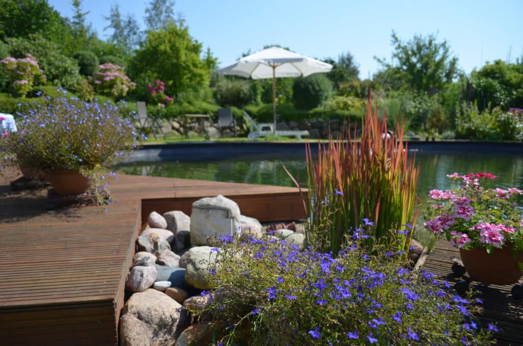 Ein Landschaftsgarten mit Teich, Holzterrasse, Topfblumen, Ziergräsern, Steinen und einem weißen Sonnenschirm im Hintergrund, umgeben von üppigem Grün an einem sonnigen Tag - perfekt für Ihre Referenzen.