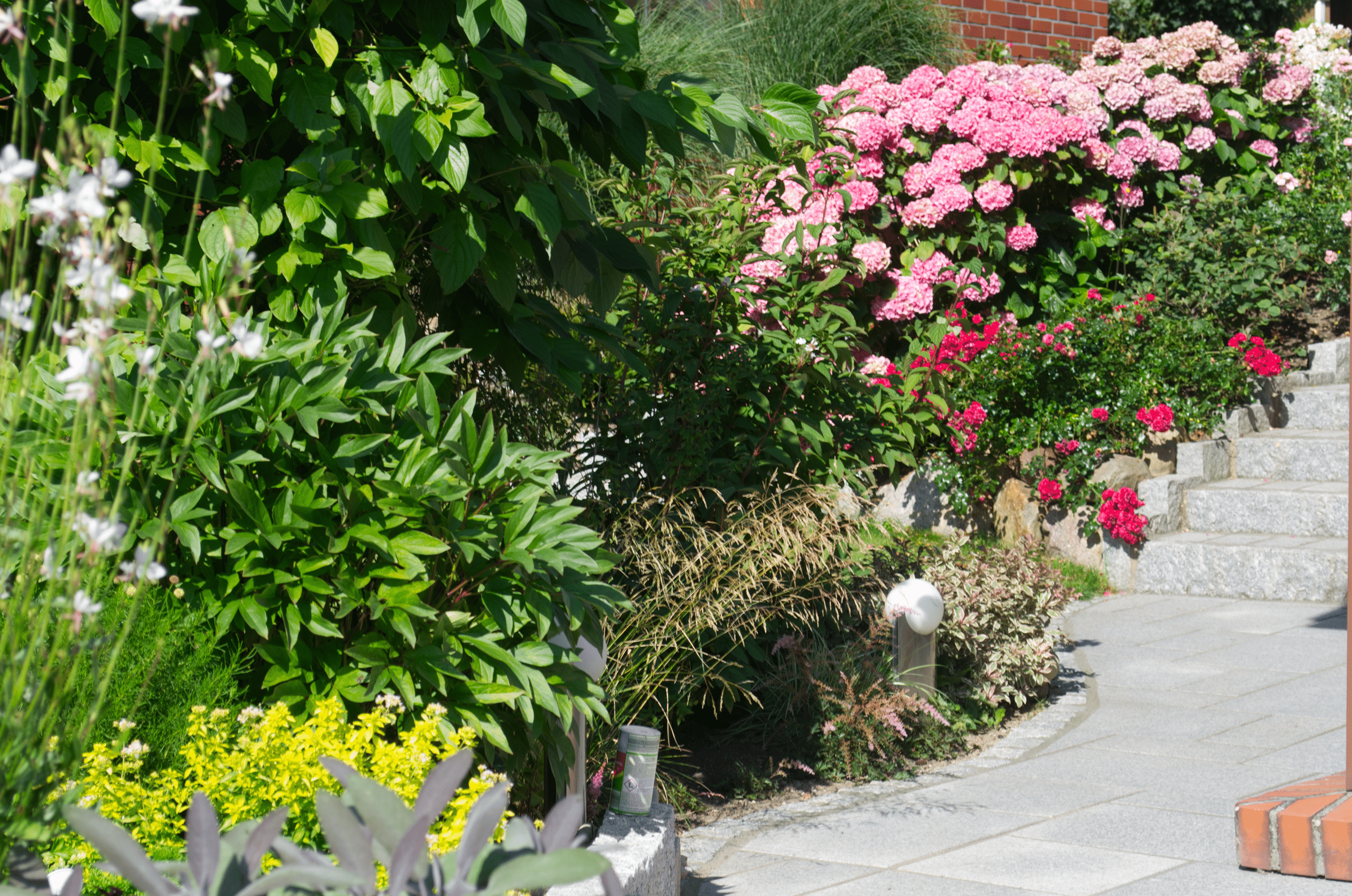 Ein Gartenweg schlängelt sich über steinerne Stufen, gesäumt von üppigem Grün, blühenden rosa und roten Blumen und Sträuchern im hellen Sonnenlicht - eine inspirierende Szene, die sich perfekt für Design-Referenzen eignet.