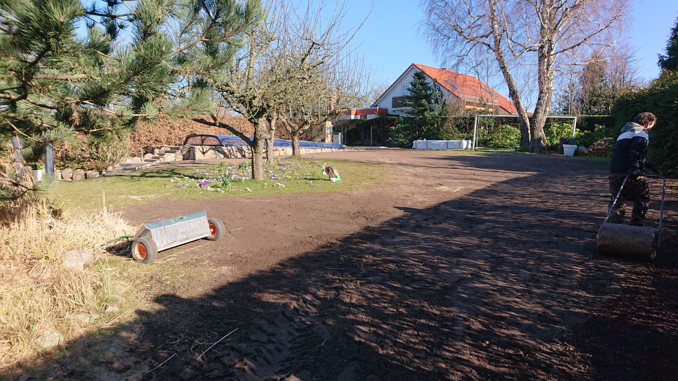 Eine Person benutzt eine manuelle Rasenwalze in einem sonnigen Garten mit einer Mischung aus Gras, Erde und Gartenbeeten. Bäume und Sträucher umgeben die Fläche, und im Hintergrund ist ein Haus mit rotem Dach zu sehen.